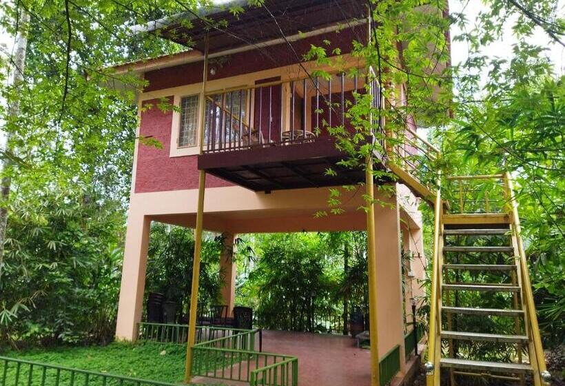 Семейный Номер, Wayanadgreenpark Resort