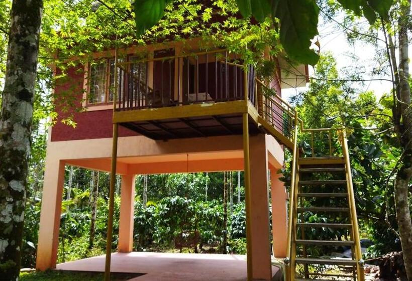 Семейный Номер, Wayanadgreenpark Resort