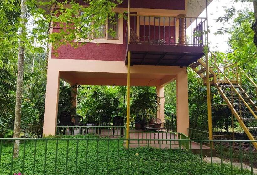 Семейный Номер, Wayanadgreenpark Resort