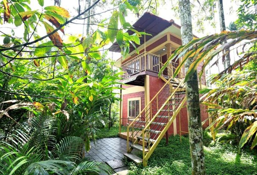 Семейный Номер, Wayanadgreenpark Resort