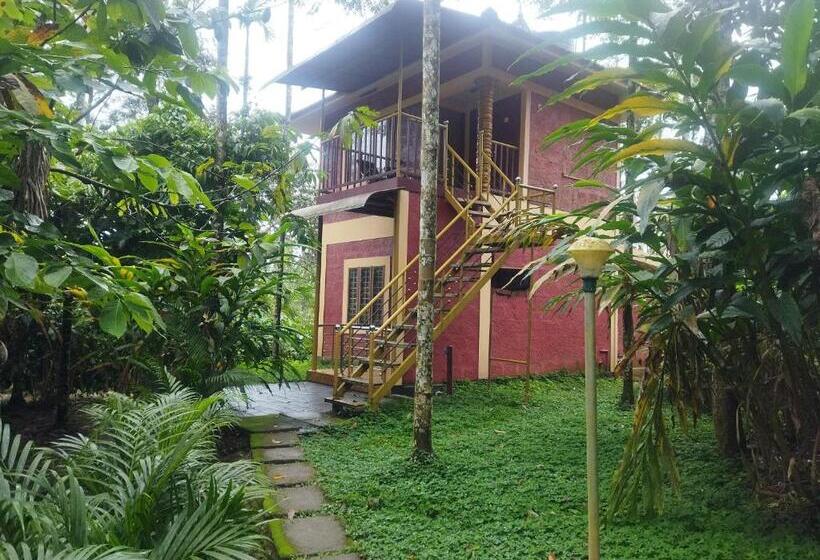 Семейный Номер, Wayanadgreenpark Resort