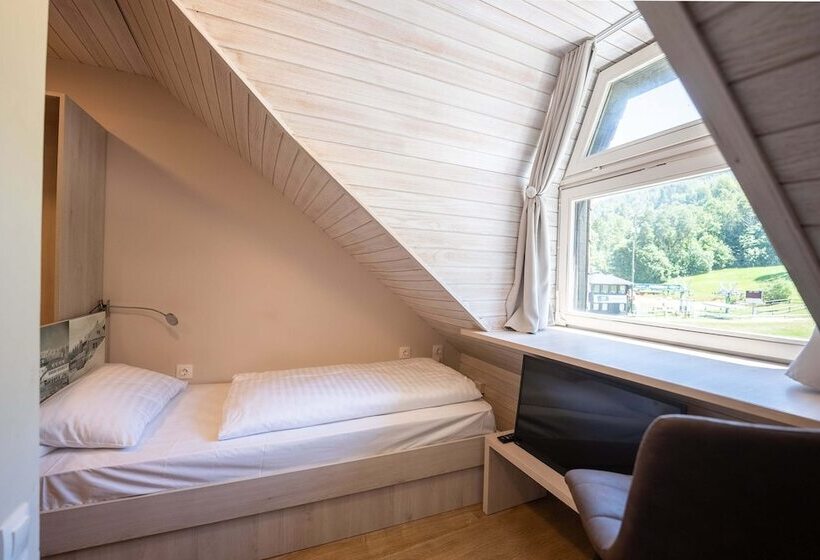 اتاق استاندارد یک نفره, Arena Maribor