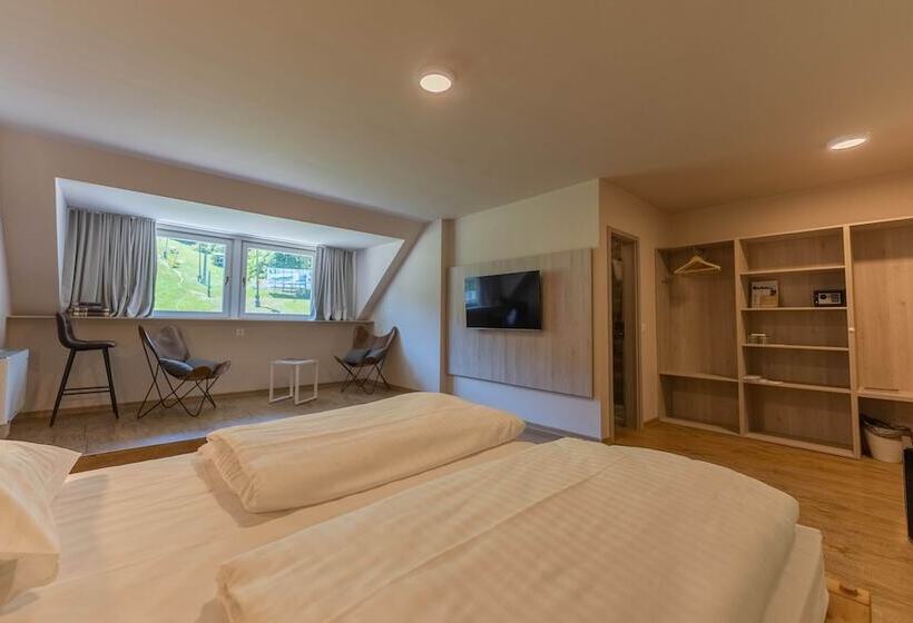 اتاق استاندارد, Arena Maribor