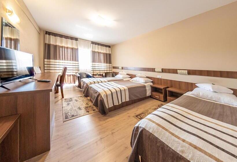 スタンダードトリプルルーム, Crisana Arad