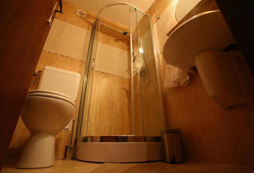 スタンダードシングルルーム, Crisana Arad