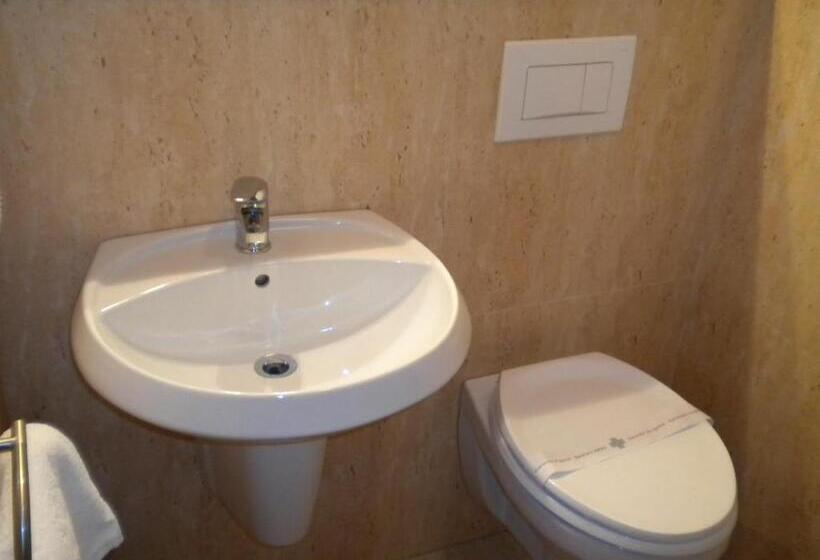 スタンダードシングルルーム, Crisana Arad