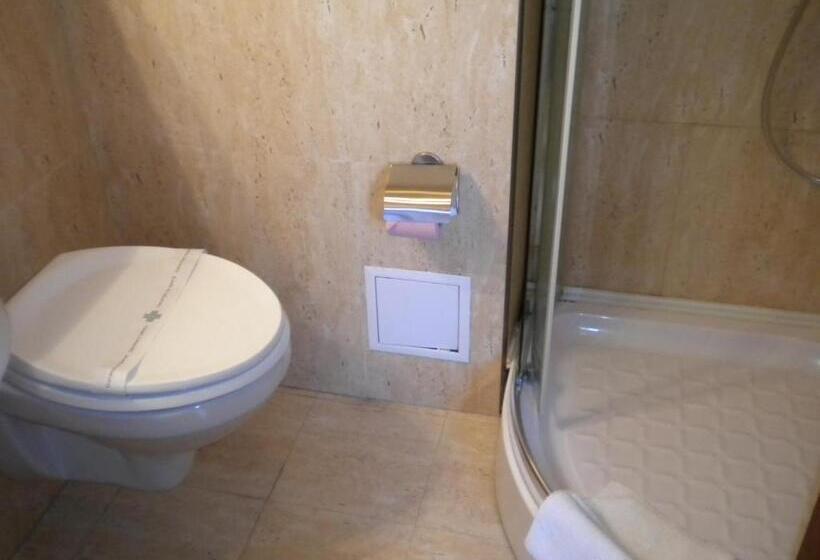 スタンダードシングルルーム, Crisana Arad