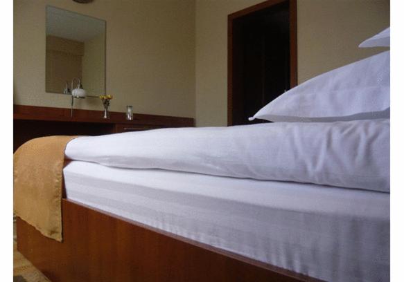 スタンダードシングルルーム, Crisana Arad