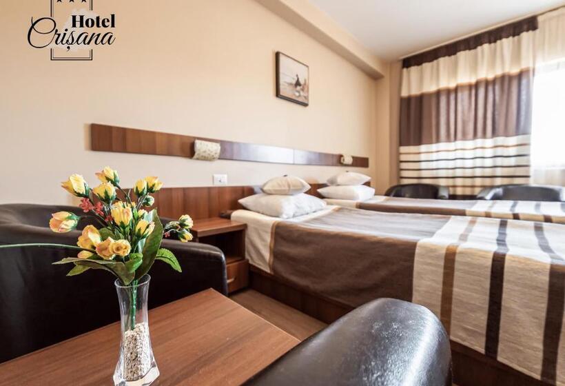 スタンダードルーム, Crisana Arad