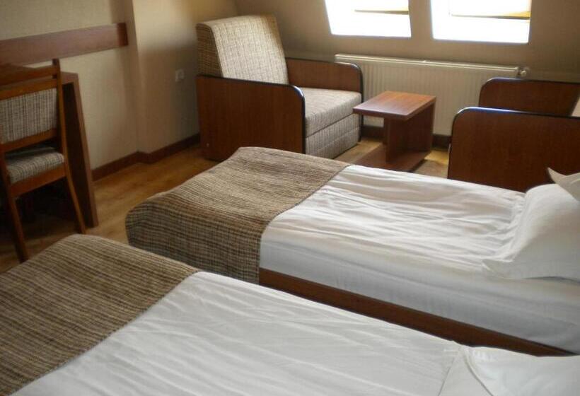 スタンダードルーム, Crisana Arad