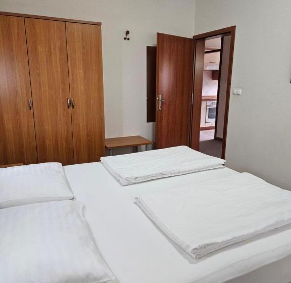 آپارتمان 1 خوابه, Dežman Apartments & Rooms