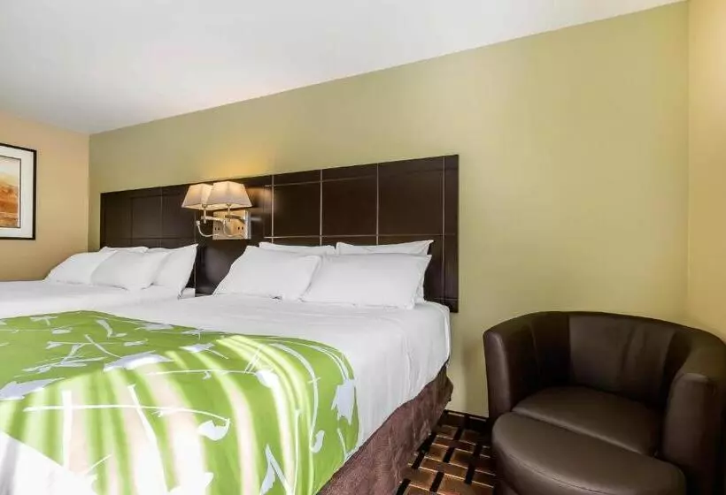 キングサイズベッドのスタンダードルーム, Econo Lodge Boaz