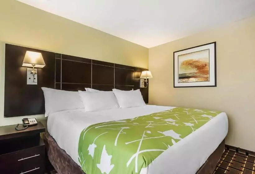 キングサイズベッドのスタンダードルーム, Econo Lodge Boaz
