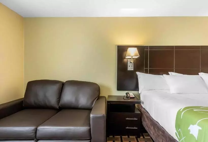 キングサイズベッドのスタンダードルーム, Econo Lodge Boaz