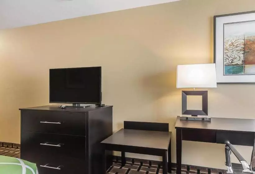 キングサイズベッドのスタンダードルーム, Econo Lodge Boaz