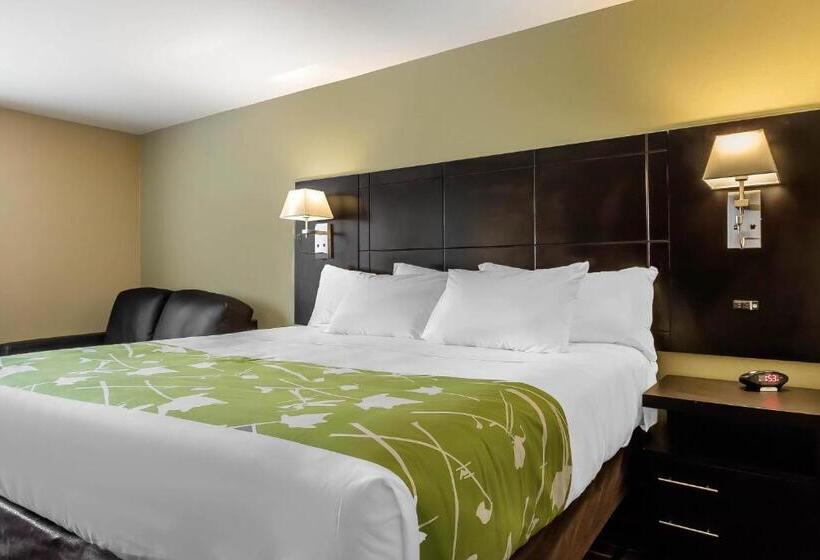 غرفة قياسية سرير كينج, Econo Lodge Boaz