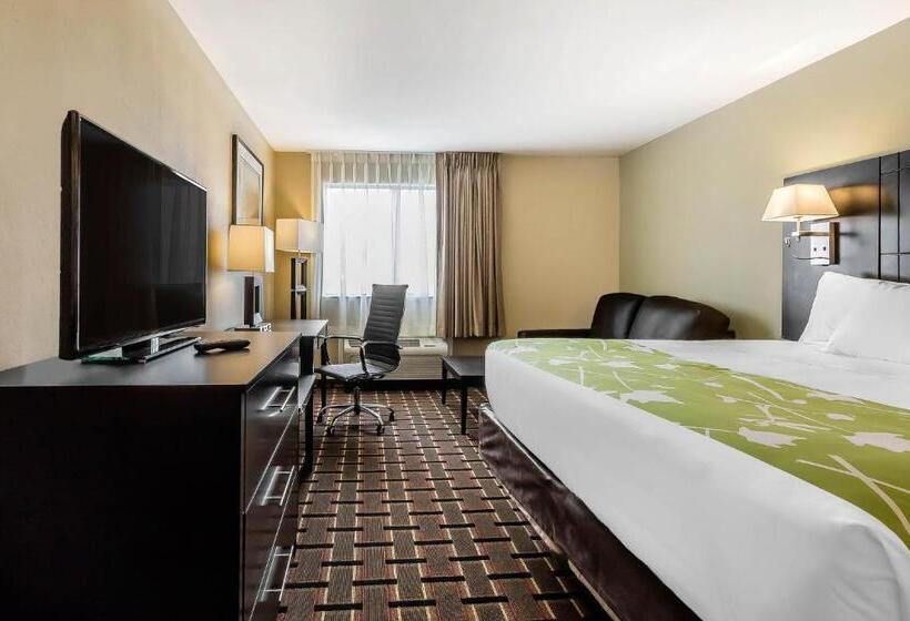 غرفة قياسية سرير كينج, Econo Lodge Boaz