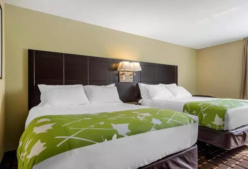 スタンダードルーム, Econo Lodge Boaz