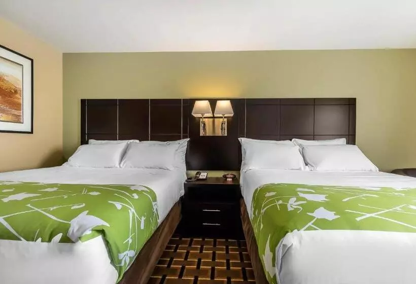スタンダードルーム, Econo Lodge Boaz