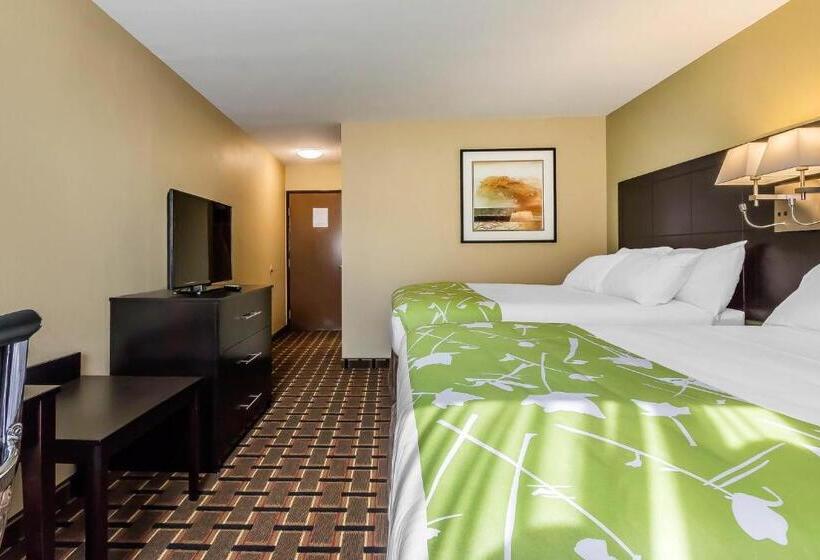 غرفة قياسية, Econo Lodge Boaz