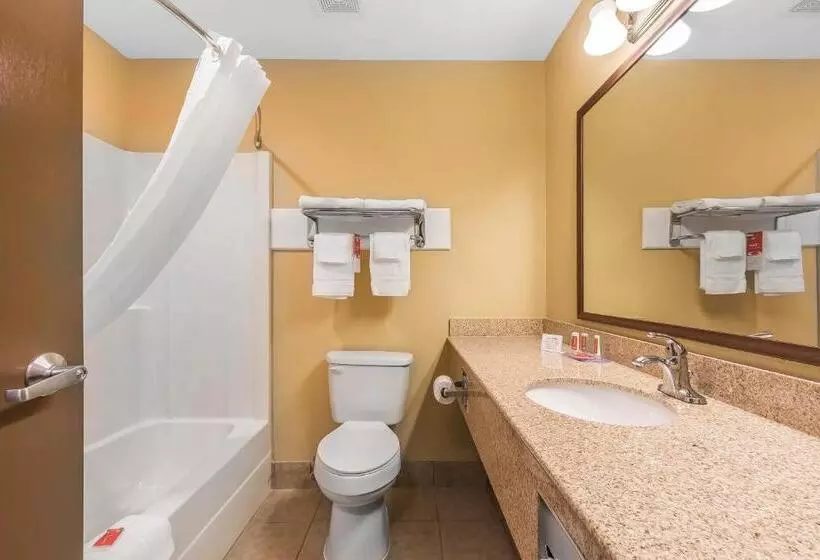 スタンダードルーム, Econo Lodge Boaz