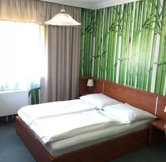 スタンダードルーム, Europa Hotel és étterem