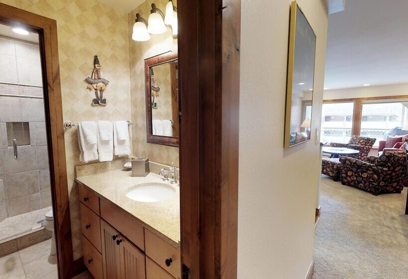 1ベッドルームアパートメント, Montaneros In Vail