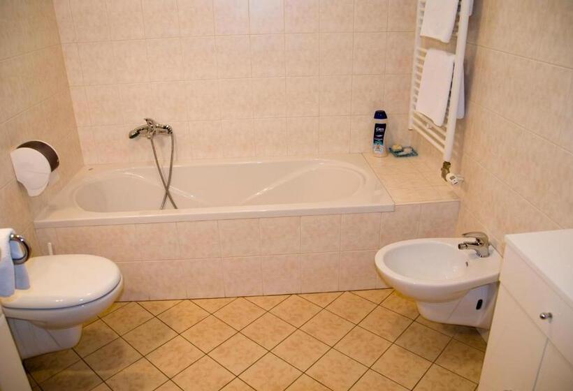 آپارتمان 1 خوابه, Dežman Apartments & Rooms