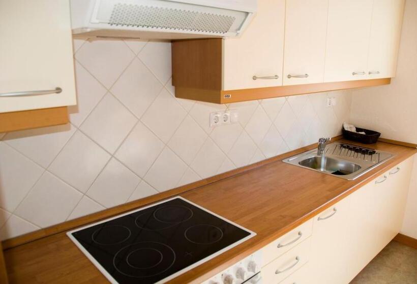 آپارتمان 1 خوابه, Dežman Apartments & Rooms