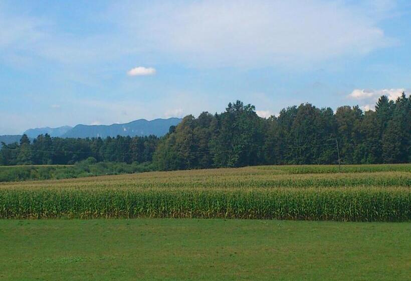 اتاق استاندارد یک نفره, Dežman Apartments & Rooms