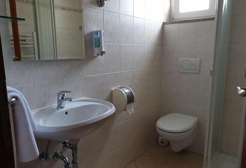 اتاق استاندارد یک نفره, Dežman Apartments & Rooms