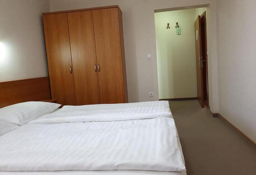 اتاق استاندارد, Dežman Apartments & Rooms