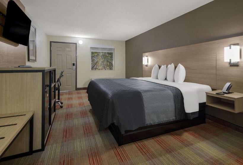 غرفة قياسية سرير كينج, Rodeway Inn