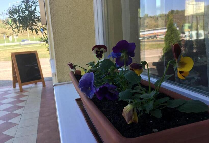 스탠다드 룸, Romantik étterem   Panzió