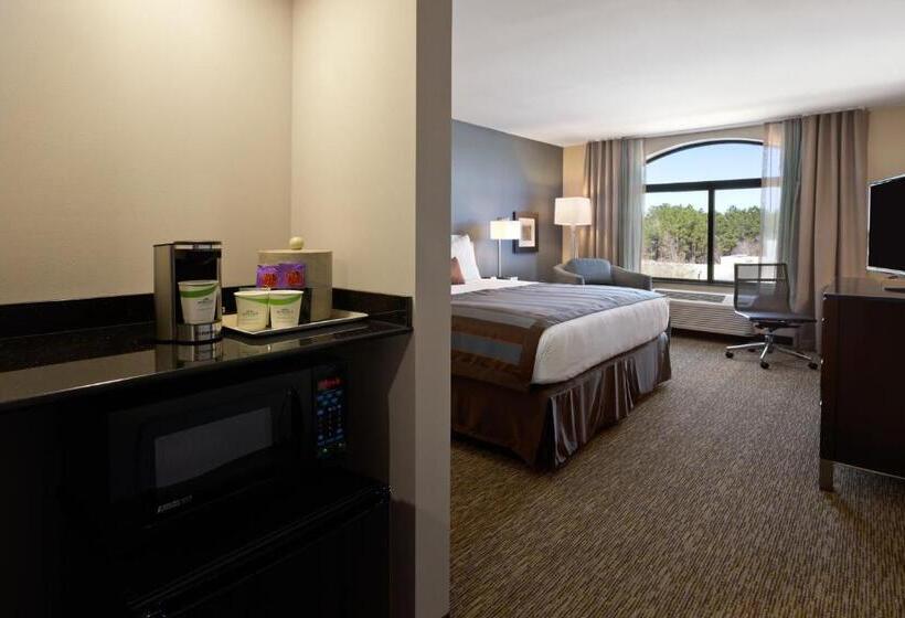 غرفة ديلوكس سرير كينج, Wingate By Wyndham Slidell/new Orleans East Area