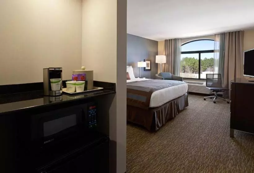 障害者適応デラックスルーム, Wingate By Wyndham Slidell/new Orleans East Area