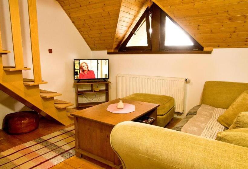 Номер Дюплекс, Penzion Martinov Dvor