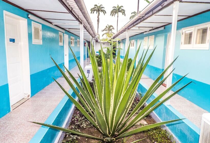 اتاق استاندارد, Somos Hotel Avenida