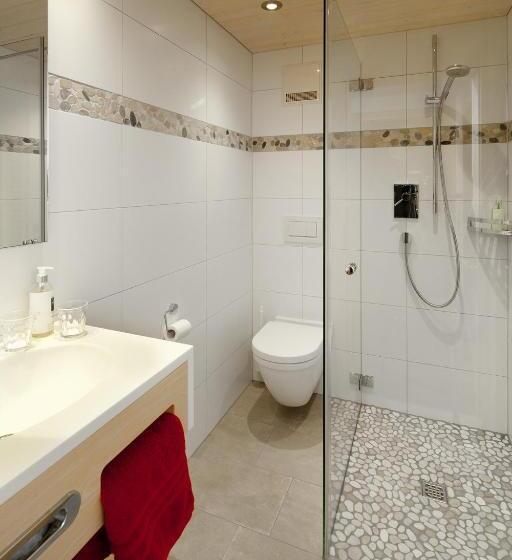 Апартаменты 1 Спальня с Балконом, Aparthotel Brunnenhof