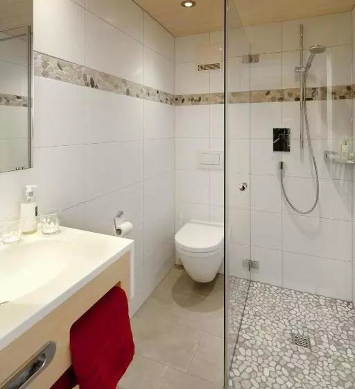 バルコニー付き１ベッドルームアパートメント, Aparthotel Brunnenhof