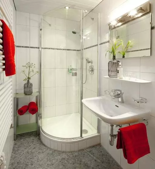 １ベッドルームアパートメント, Aparthotel Brunnenhof