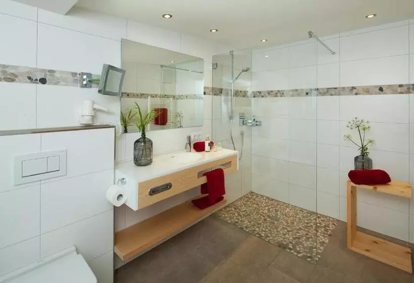 スタンダードルーム, Aparthotel Brunnenhof