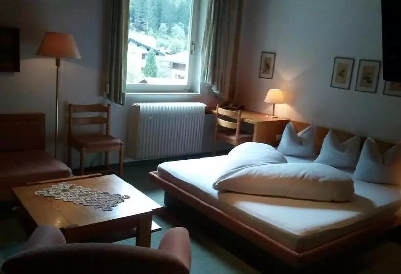 スタンダードルーム, Berghotel Sonne