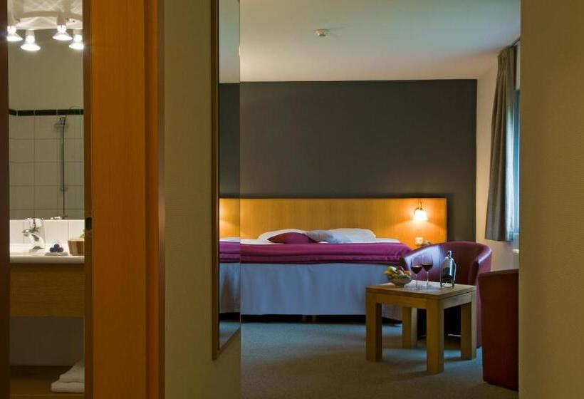 اتاق استاندارد, Cocoon Hotel Belair