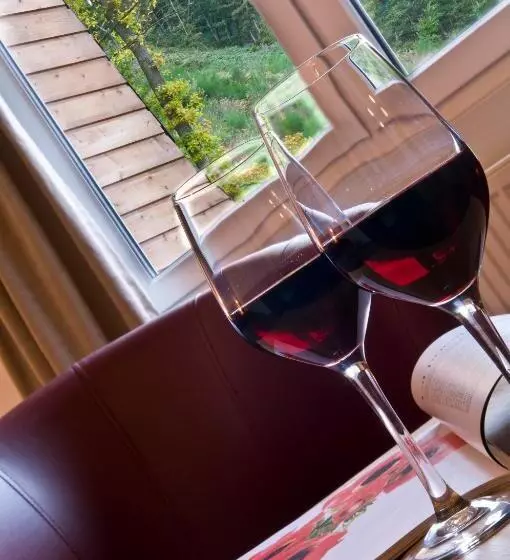اتاق سوپریور, Cocoon Hotel Belair