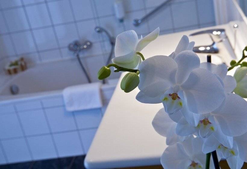 اتاق استاندارد, Cocoon Hotel Belair