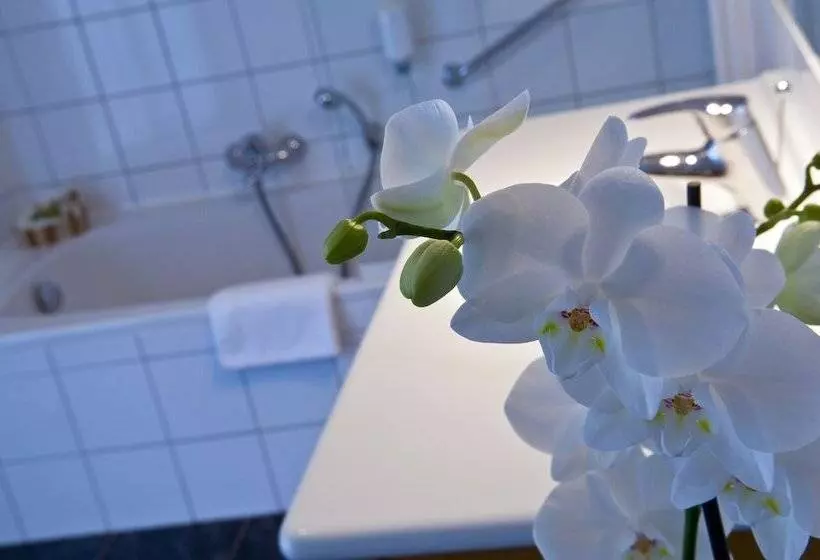 اتاق استاندارد, Cocoon Hotel Belair