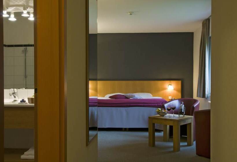 اتاق استاندارد, Cocoon Hotel Belair