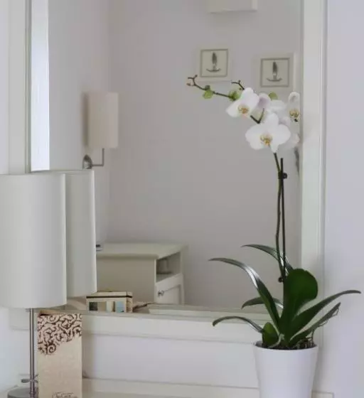 スタンダードシングルルーム, Alla Corte Del Picchio Room & Breakfast