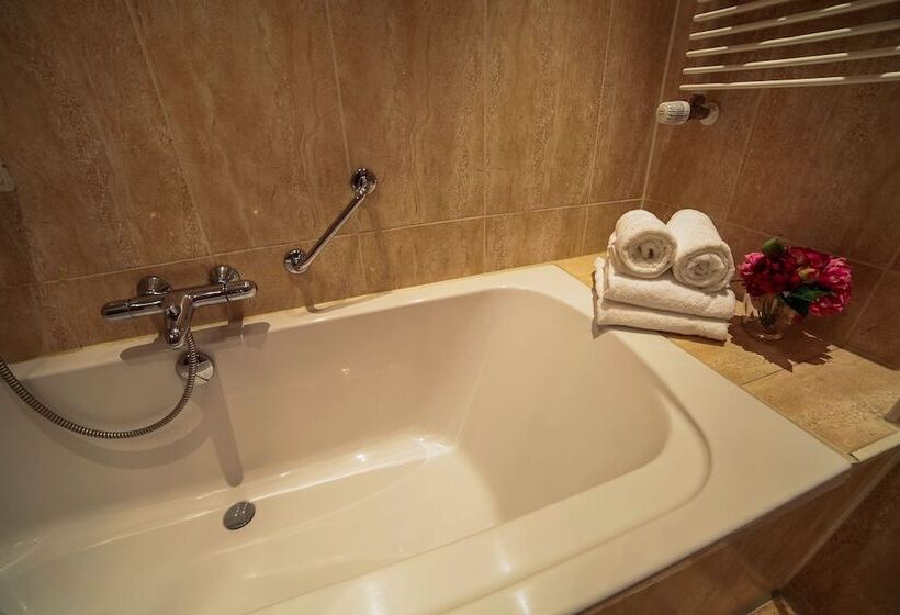 舒适型房间, Amicitia